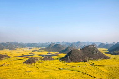 Kanola çiçek Luoping horoz tepe altında