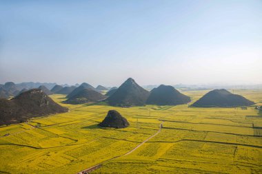 Kanola çiçek Luoping horoz tepe altında