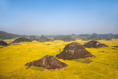 Kanola çiçek Luoping horoz tepe altında