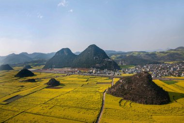 Kanola çiçek Luoping horoz tepe altında