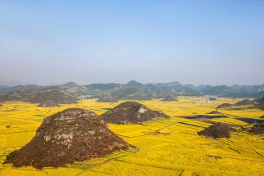 Kanola çiçek Luoping horoz tepe altında
