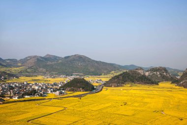 Kanola çiçek Luoping horoz tepe altında