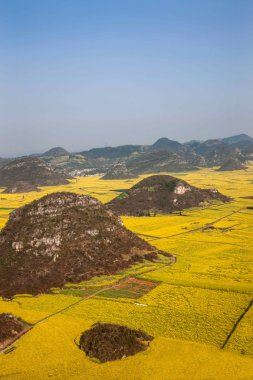Kanola çiçek Luoping horoz tepe altında