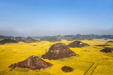 Kanola çiçek Luoping horoz tepe altında