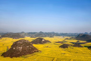 Kanola çiçek Luoping horoz tepe altında
