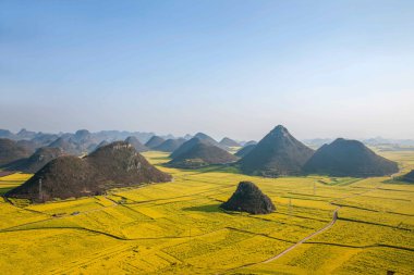 Kanola çiçek Luoping horoz tepe altında