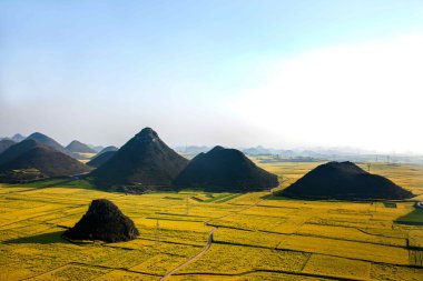Kanola çiçek Luoping horoz tepe altında