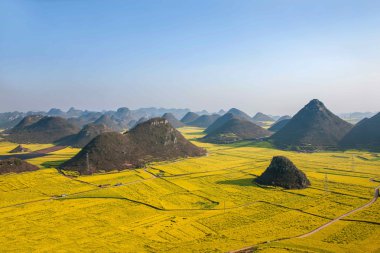 Kanola çiçek Luoping horoz tepe altında