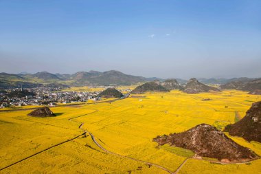 Kanola çiçek Luoping horoz tepe altında