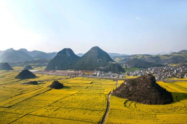 Kanola çiçek Luoping horoz tepe altında