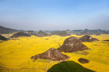 Kanola çiçek Luoping horoz tepe altında