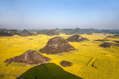 Kanola çiçek Luoping horoz tepe altında
