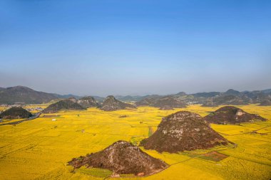 Kanola çiçek Luoping horoz tepe altında