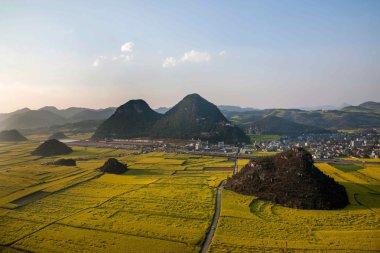 Kanola çiçek Luoping horoz tepe altında
