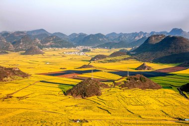 Kanola çiçek Luoping horoz tepe altında