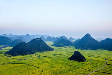 Kanola çiçek Luoping horoz tepe altında