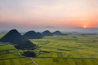 Kanola çiçek Luoping horoz tepe altında