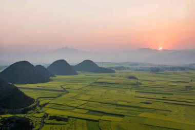 Kanola çiçek Luoping horoz tepe altında