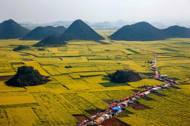 Kanola çiçek Luoping horoz tepe altında