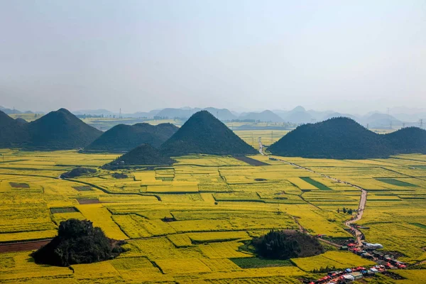 Kanola çiçek Luoping horoz tepe altında