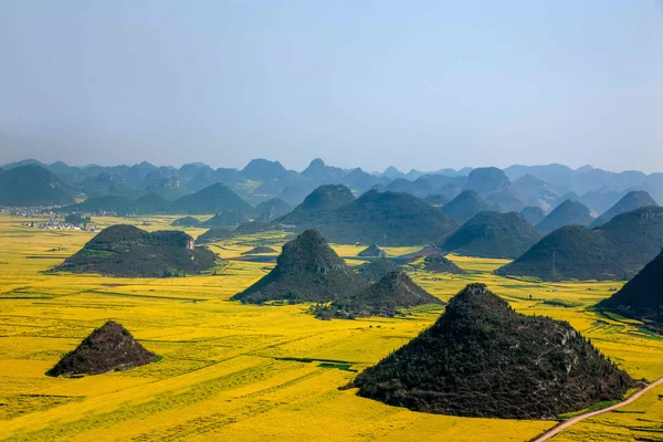 Kanola çiçek Luoping horoz tepe altında