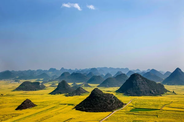 Kanola çiçek Luoping horoz tepe altında