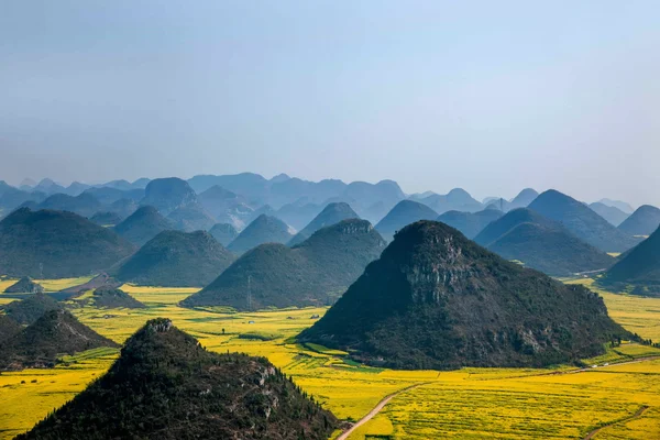 Kanola çiçek Luoping horoz tepe altında