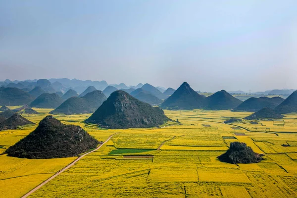 Kanola çiçek Luoping horoz tepe altında