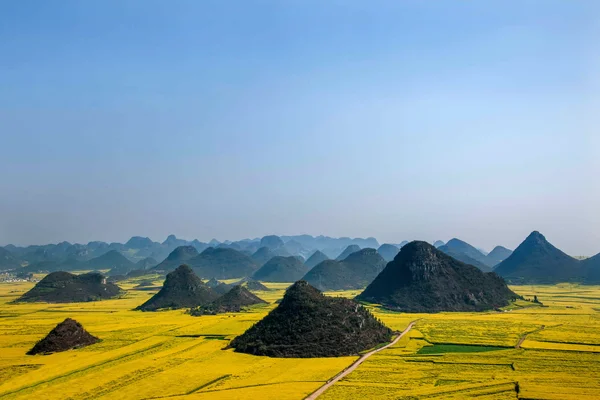 Kanola çiçek Luoping horoz tepe altında