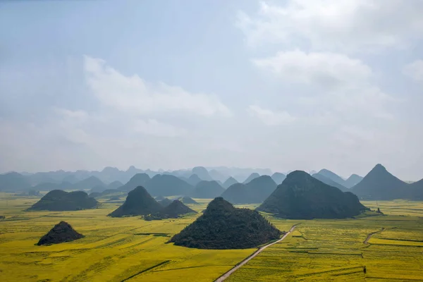 Canola flower Luoping Rooster under the peak — Stock Photo, Image