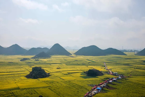 Canola flower Luoping Rooster under the peak — Stock Photo, Image