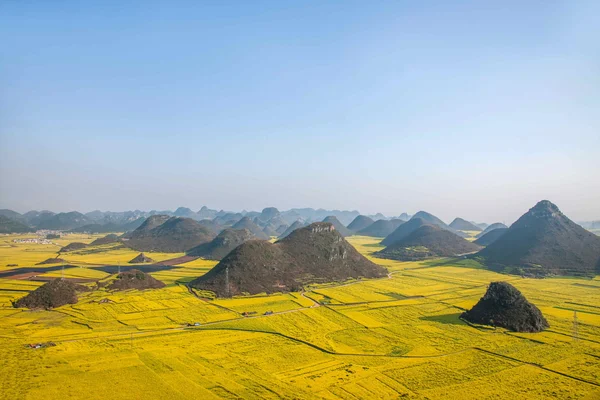 Kanola çiçek Luoping horoz tepe altında