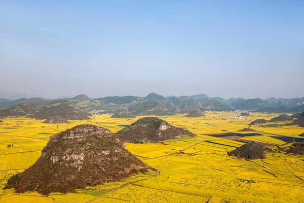 Canola flor Luoping Galo sob o pico — Fotografia de Stock