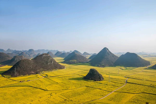 Kanola çiçek Luoping horoz tepe altında