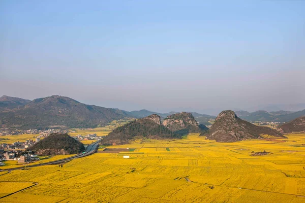 Canola flor Luoping Galo sob o pico — Fotografia de Stock