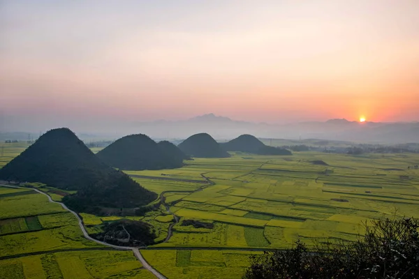 Canola flower Luoping Rooster under the peak — Stock Photo, Image