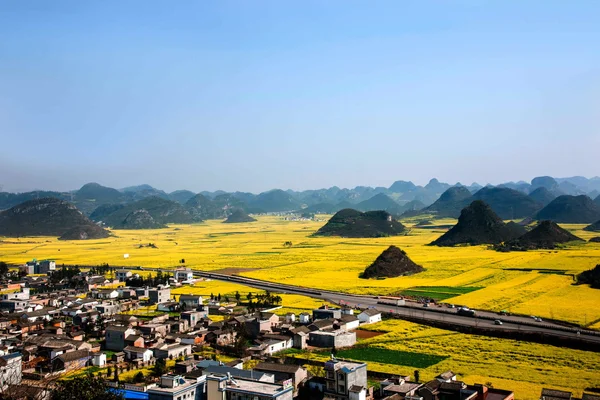 油菜花罗平金鸡峰下 — 图库照片