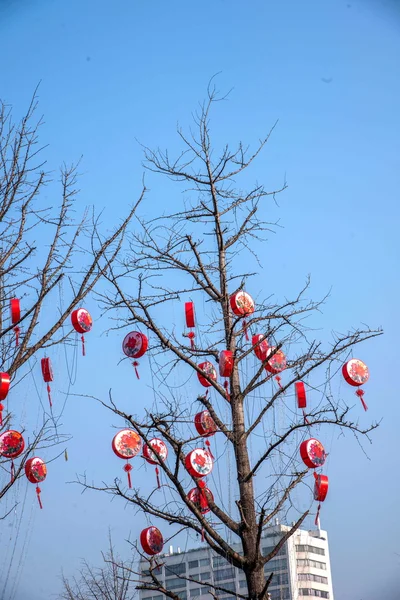 Nan 'an Distrito Jiangnan Avenue árbol de carretera colgando winnowing —  Fotos de Stock