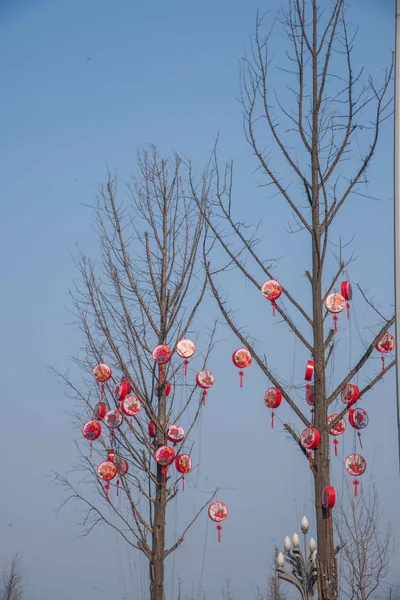 Nan 'an Distrito Jiangnan Avenue árbol de carretera colgando winnowing —  Fotos de Stock