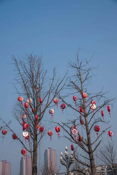 Nan'an bölge Jiangnan Avenue yol kenarındaki ağaç harmanlayarak asılı — Stok fotoğraf