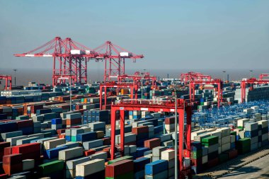 Shanghai Yangshan derin deniz ekonomik Fta konteyner terminal Vinçler kule vinç