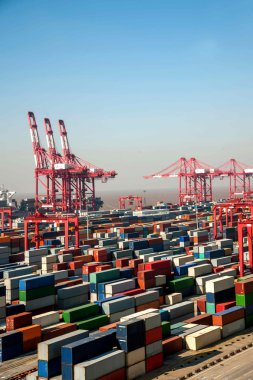 Shanghai Yangshan derin deniz ekonomik Fta konteyner terminal Vinçler kule vinç