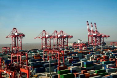 Shanghai Yangshan derin deniz ekonomik Fta konteyner terminal Vinçler kule vinç