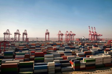 Shanghai Yangshan derin deniz ekonomik Fta konteyner terminal Vinçler kule vinç