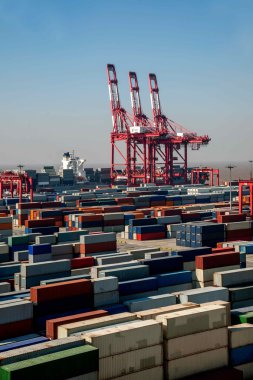 Shanghai Yangshan derin deniz ekonomik Fta konteyner terminal Vinçler kule vinç
