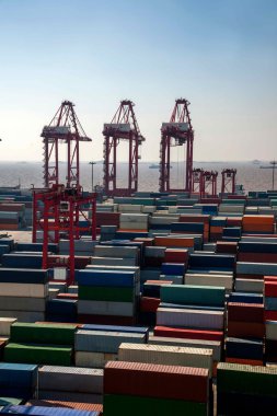 Shanghai Yangshan derin deniz ekonomik Fta konteyner terminal Vinçler kule vinç