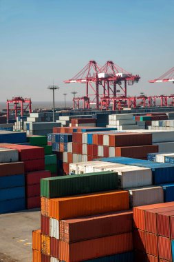 Shanghai Yangshan derin deniz ekonomik Fta konteyner terminal Vinçler kule vinç