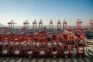 Shanghai Yangshan derin deniz ekonomik Fta konteyner terminal Vinçler kule vinç
