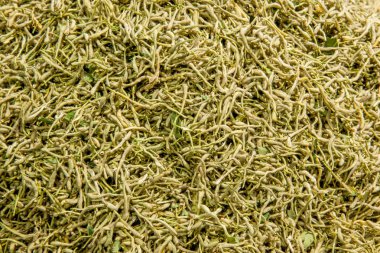 Çay tıp - Hanımeli