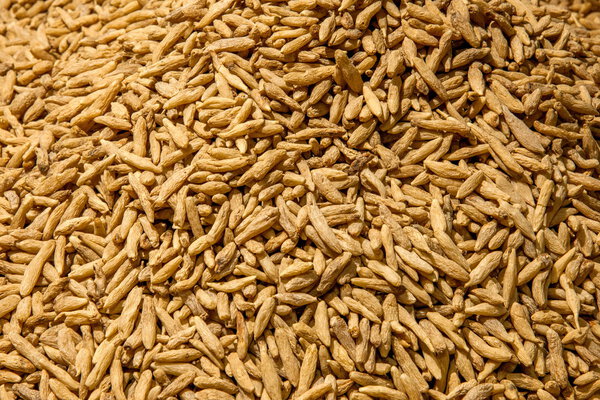 Медицинская чайная медицина - Radix
